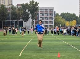 MLB 官方宣布 2026 年将增加在波多黎各的例行赛场次