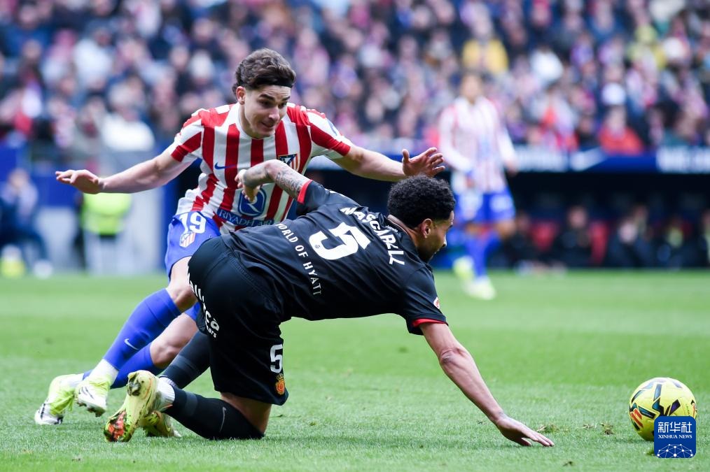 五星点评：正处当打之年 大赛再展锋芒