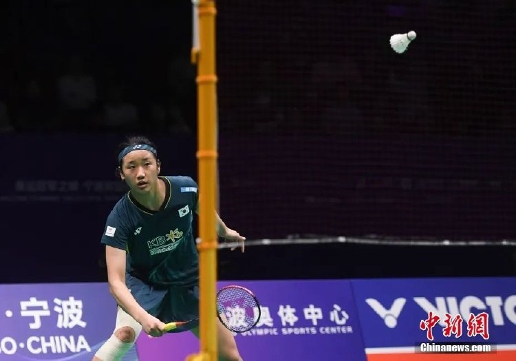 引入库尼亚 引入库尼亚